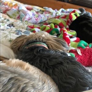 Meet your Posher, Elaine